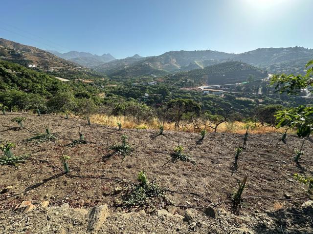 Terreno en venta en La Axarquía, Andalucía
