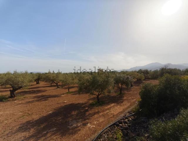 Terreno en venta en els Reguers, Baix Ebre