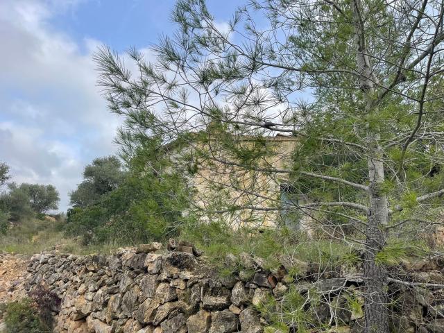 Terreno en venta en Baix Ebre, Catalunya