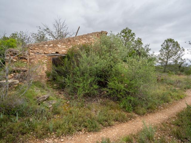 Terreno en venta en els Reguers, Baix Ebre