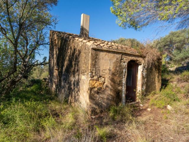 Terreno en venta en Baix Ebre, Catalunya