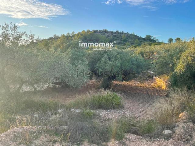 Terreno en venta en Bítem, Baix Ebre