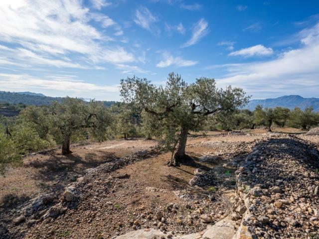 Terreno en venta en Baix Ebre, Catalunya