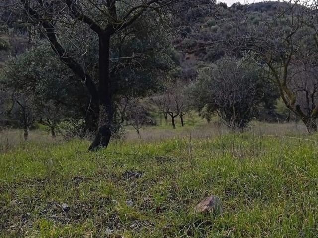 Terreno en venta en Cortijo de Garin, Torvizcón
