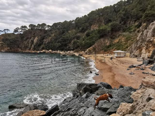 Terreno en venta en Santa Maria de Llorell, la Selva