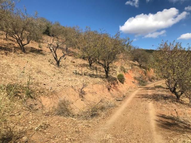 Terreno en venta en La Axarquía, Andalucía