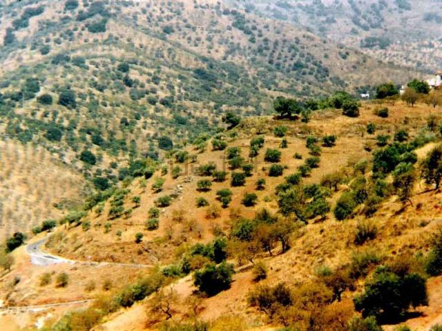 Terreno en venta en La Axarquía, Andalucía