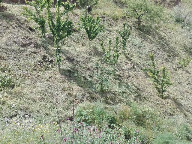 Terreno en venta en La Axarquía, Andalucía