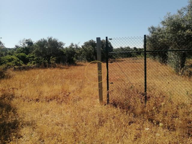 Terreno venda em Loulé (São Clemente), Loulé