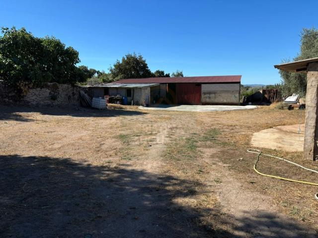 Terreno venda em Castelo Branco, Idanha-a-nova