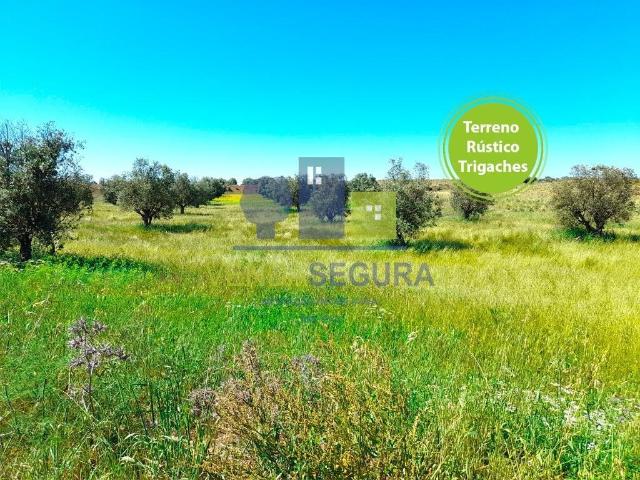 Terreno venda em Trigaches e São Brissos, Beja