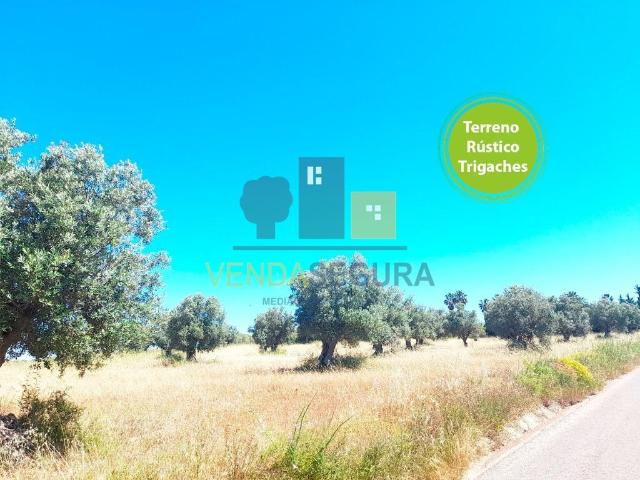 Terreno venda em Trigaches e São Brissos, Beja
