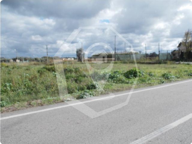 Terreno venda em Oliveira Do Bairro, Aveiro