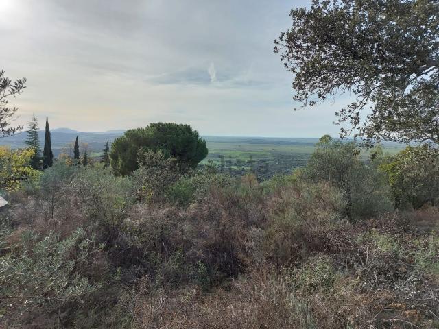 Terreno en venta en Trujillo, Extremadura