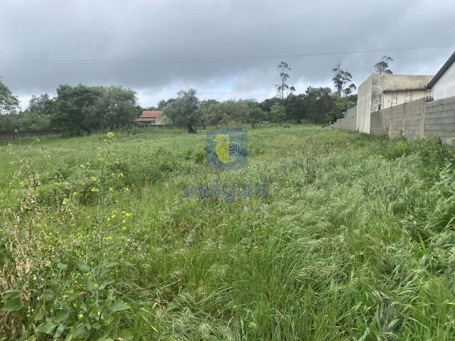 Terreno venda em Orjo, Alcobaça