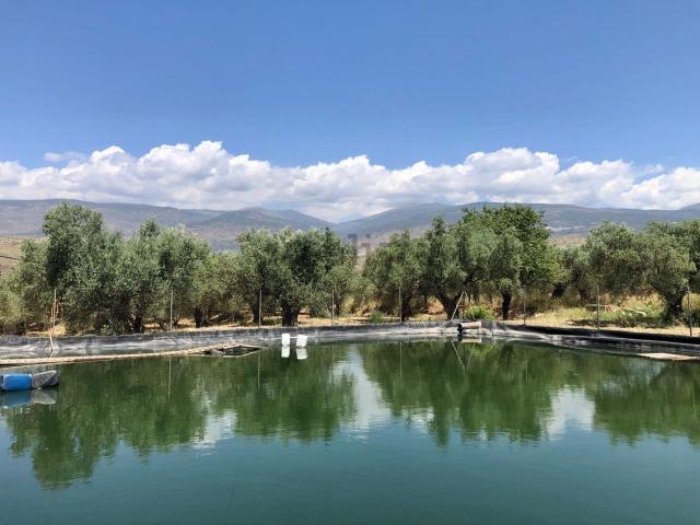 Terreno en venta en Comarca de la Alpujarra Granadina, Andalucía