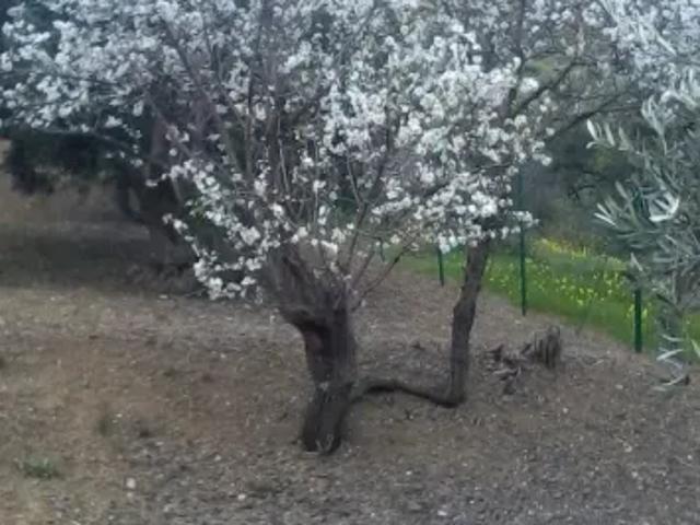 Terreno in vendita a Casteldaccia, Palermo