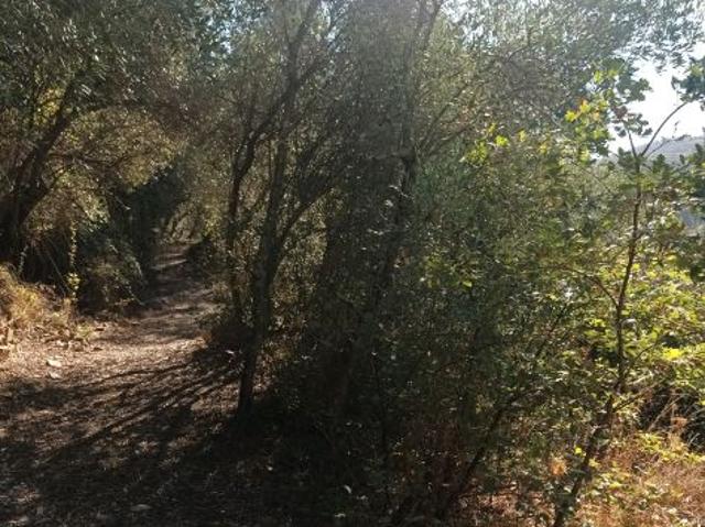 Terreno in vendita a Diano San Pietro, Liguria