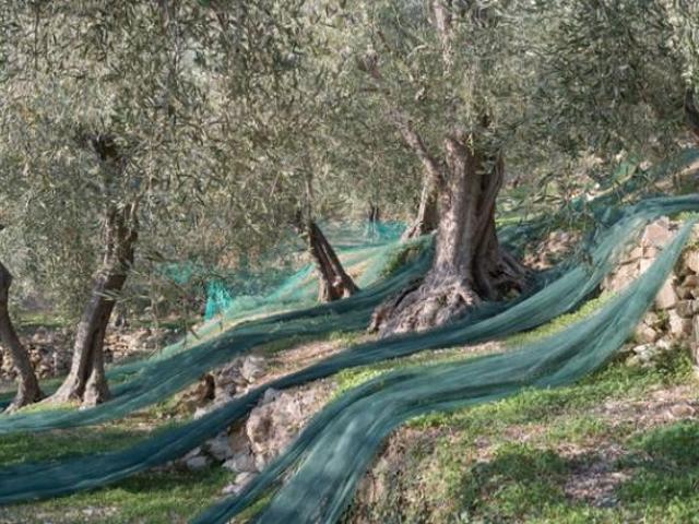 Terreno in vendita a Albisola Capo, Liguria