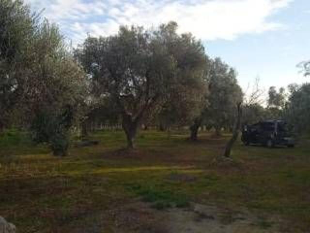 Terreno in vendita a Puglia, Taranto