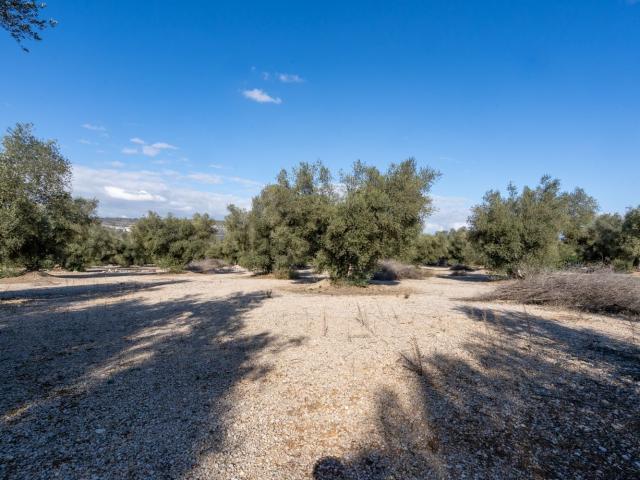 Terreno en venta en Montsià, Catalunya