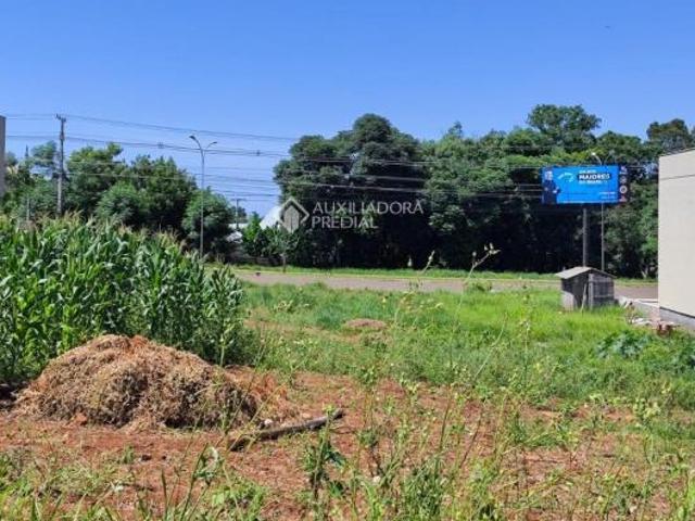 Terreno venda em Região Geográfica Imediata de Tefé, Uarini