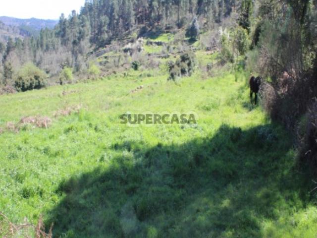 Terreno venda em Viseu