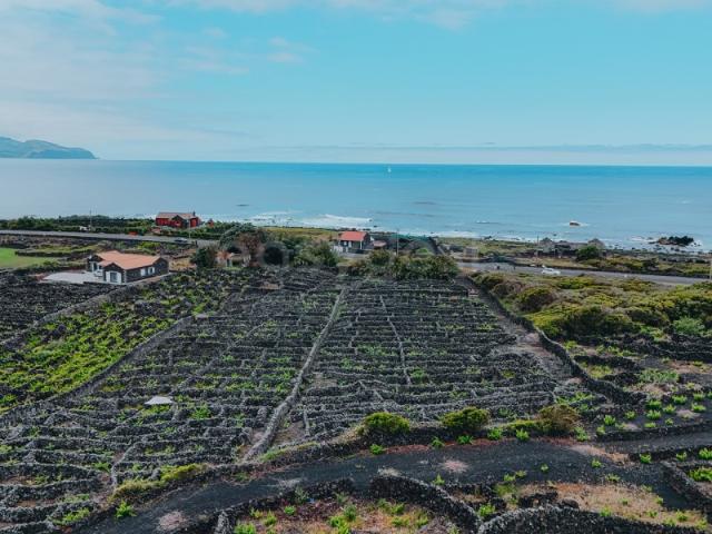 Terreno venda em Açores, Madalena