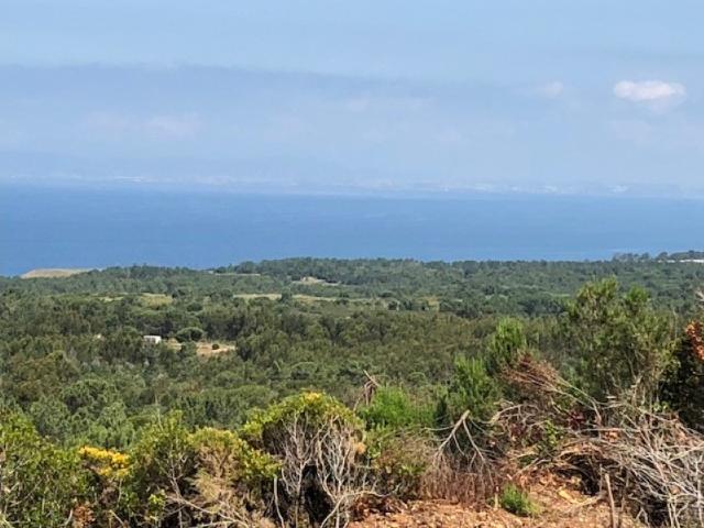 Terreno venda em Sesimbra (Castelo), Sesimbra