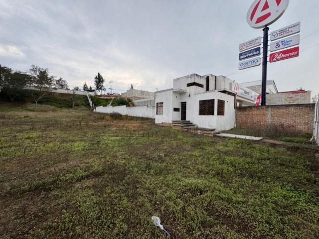 Terreno en renta en Xalapa, Veracruz