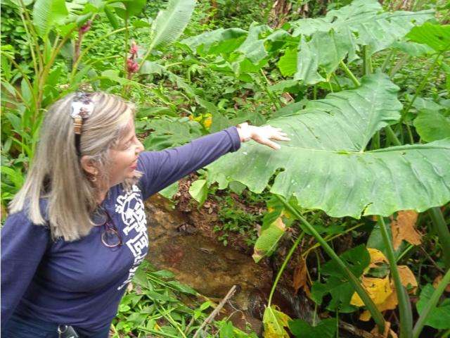 Terreno en venta en Girardot, Aragua