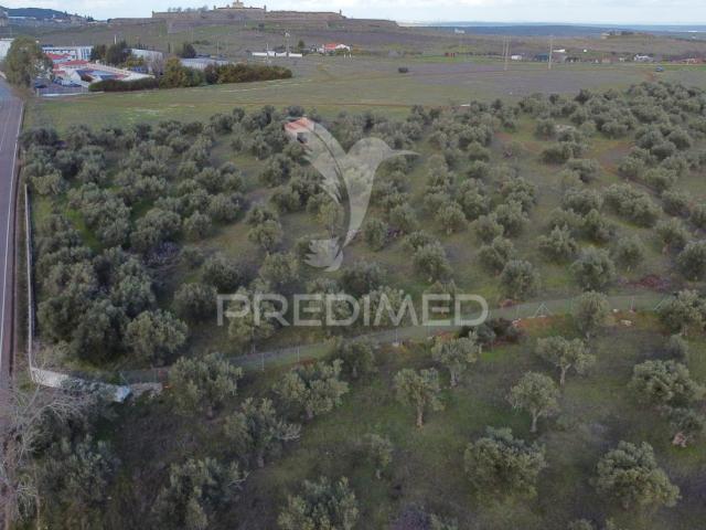 Terreno venda em Elvas, Portalegre