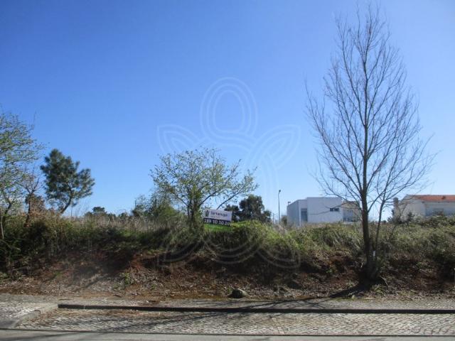 Terreno venda em Condeixa-a-nova, Coimbra