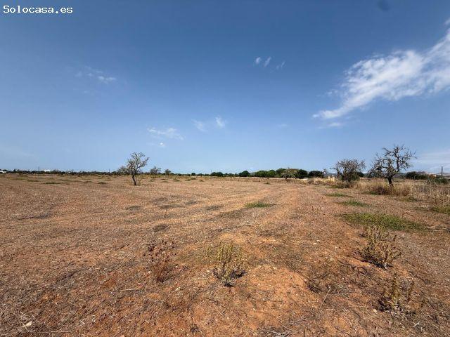 Local Comercial en venta en Migjorn, Baleares