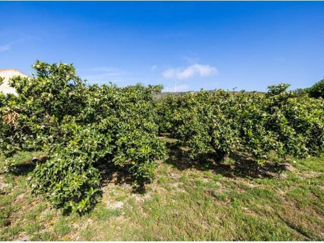 Local Comercial en venta en Talará, Comarca del Valle de Lecrín