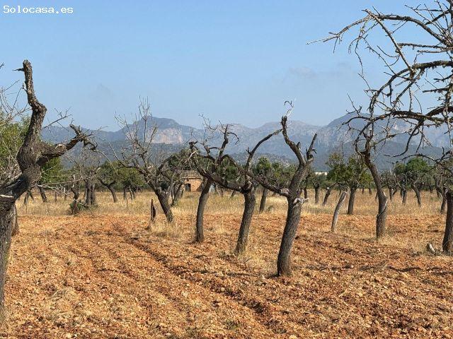 Local Comercial en venta en Raiguer, Baleares