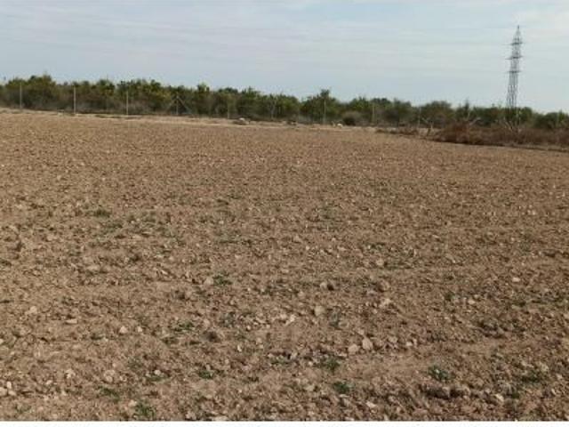 Local Comercial en venta en Perleta, el Baix Vinalopó