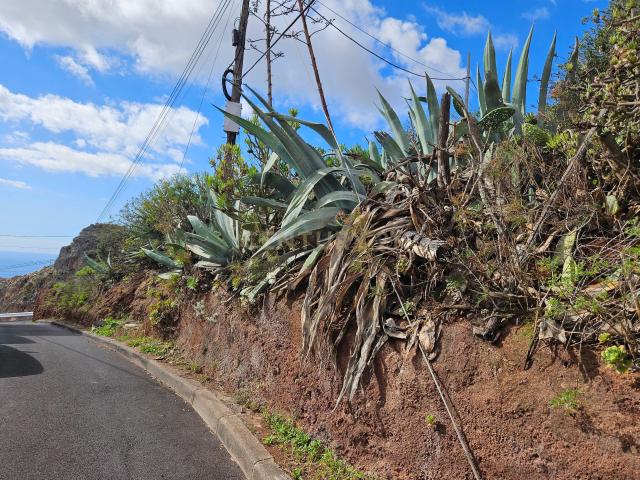 Terreno en venta en Santa Cruz De Tenerife, Canarias