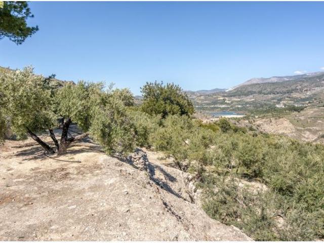 Local Comercial en venta en Pinos del Valle, Comarca del Valle de Lecrín