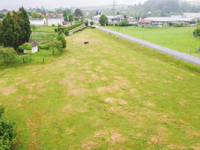 Terreno en venta en Pruvia de Baxo, Llanera