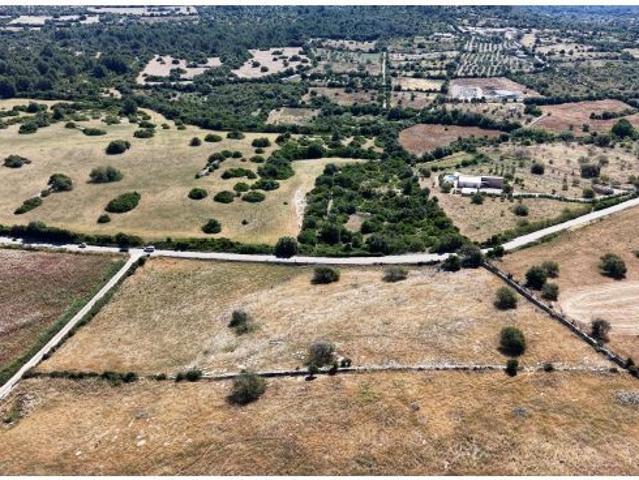 Local Comercial en venta en Cala Millor, Llevant