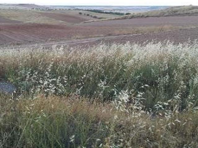 Local Comercial en venta en Tórtola De Henares, Castilla-La Mancha