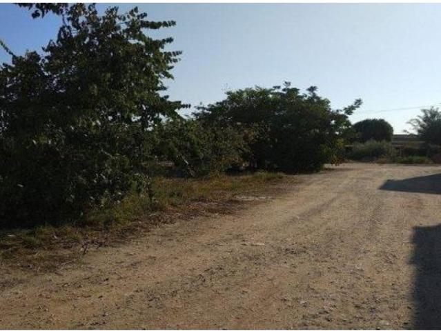 Local Comercial en venta en Pla d'Urgell, Catalunya