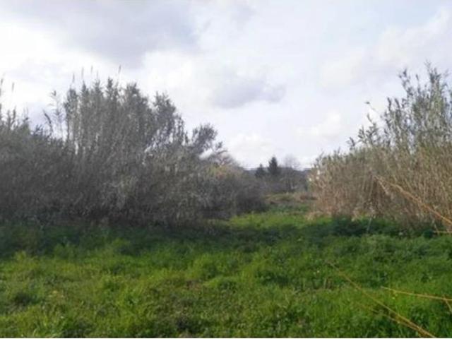 Local Comercial en venta en Poio, Pontevedra