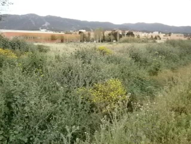 Terreno en venta en La Alberca, Área Metropolitana de Murcia