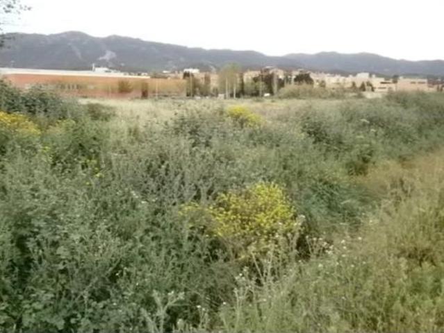 Local Comercial en venta en La Alberca, Área Metropolitana de Murcia