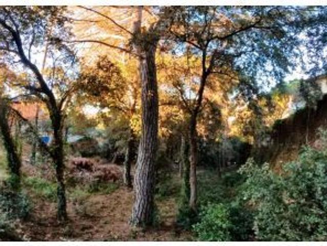 Local Comercial en venta en Ca l'Esmandia, Vallès Oriental