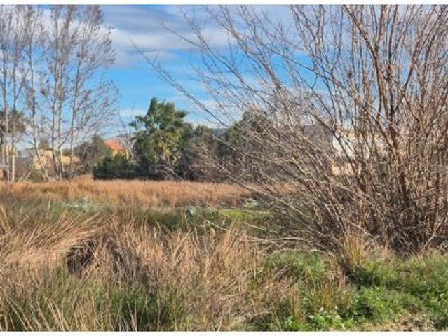 Local Comercial en venta en Puente Tocinos, Área Metropolitana de Murcia
