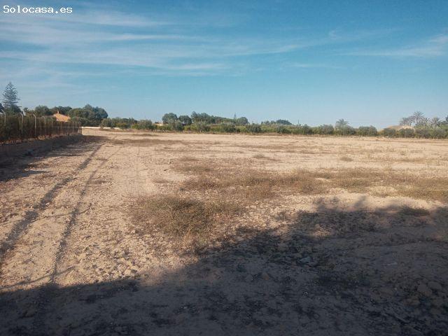 Local Comercial en venta en les Baies / Las Bayas, el Baix Vinalopó