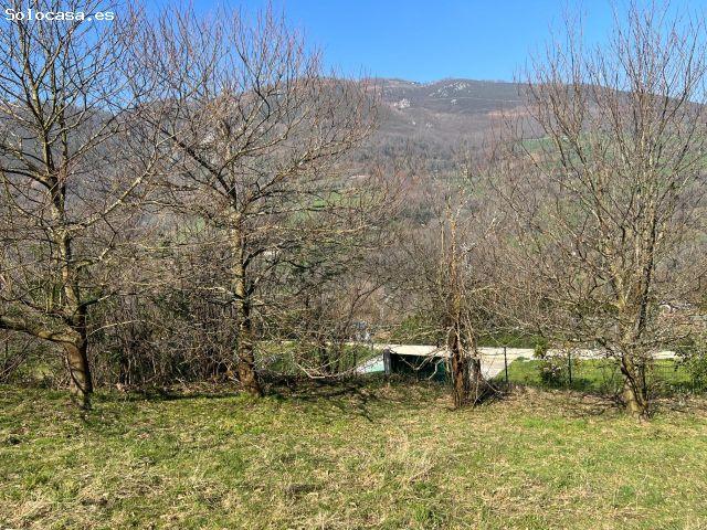 Local Comercial en venta en Santo Adriano, Asturias